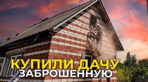 🌿 Вторая жизнь дачи: расчищаем участок, ставим окна, убежище путешественников!