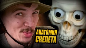 Изучаю СКЕЛЕТНУЮ АНАТОМИЮ чтобы ПРОКАЧАТЬ СКИЛЛ в Zbrush. Скульптинг. 3d стадики