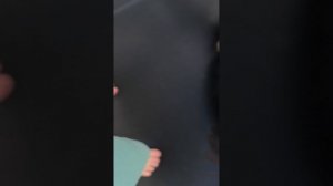 батут и паркур