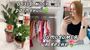 Мои комнатные растения🌿Неприхотливые комнатные цветы👍🏻ЛЕРУА МЕРЛЕН 🏠Уборка в детской комнате