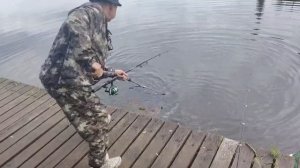 Поимка Карпа