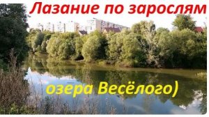 1255, 15.06.2021, Орёл, овраг, балка, Крутой Верх, озеро, Весёлое, улица, Зои Космодемьянской, ул. М