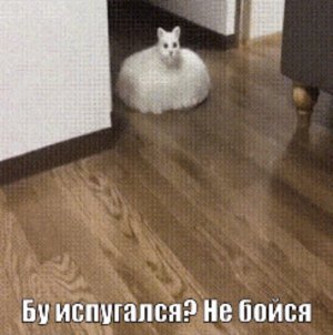 Игры дома
