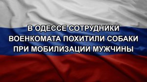 В Одессе сотрудники военкомата похитили собаки при мобилизации мужчины