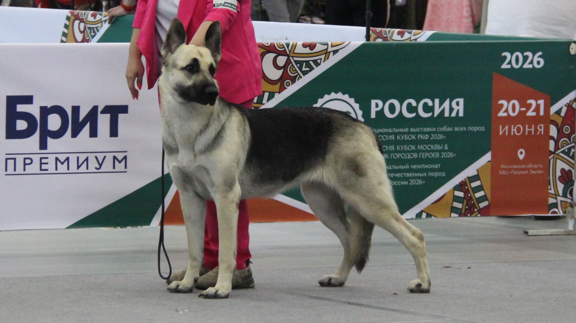 Русская Легенда Слава
