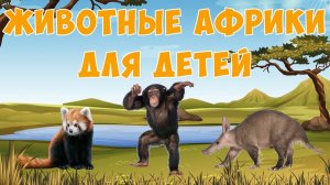 Африканские животные | карточки Домана | Раннее развитие детей | Природа