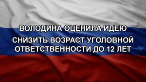 Володина оценила идею снизить возраст уголовной ответственности до 12 лет