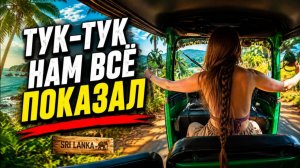 Мы взяли тук-тук и совершили самую глупую поездку в Шри-Ланке