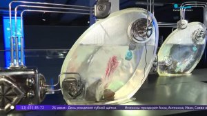 Выставка Юнуса Сафардиара «Точка отсчёта»