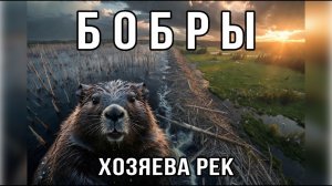 Бобры захватывают реки: спасение природы или катастрофа?