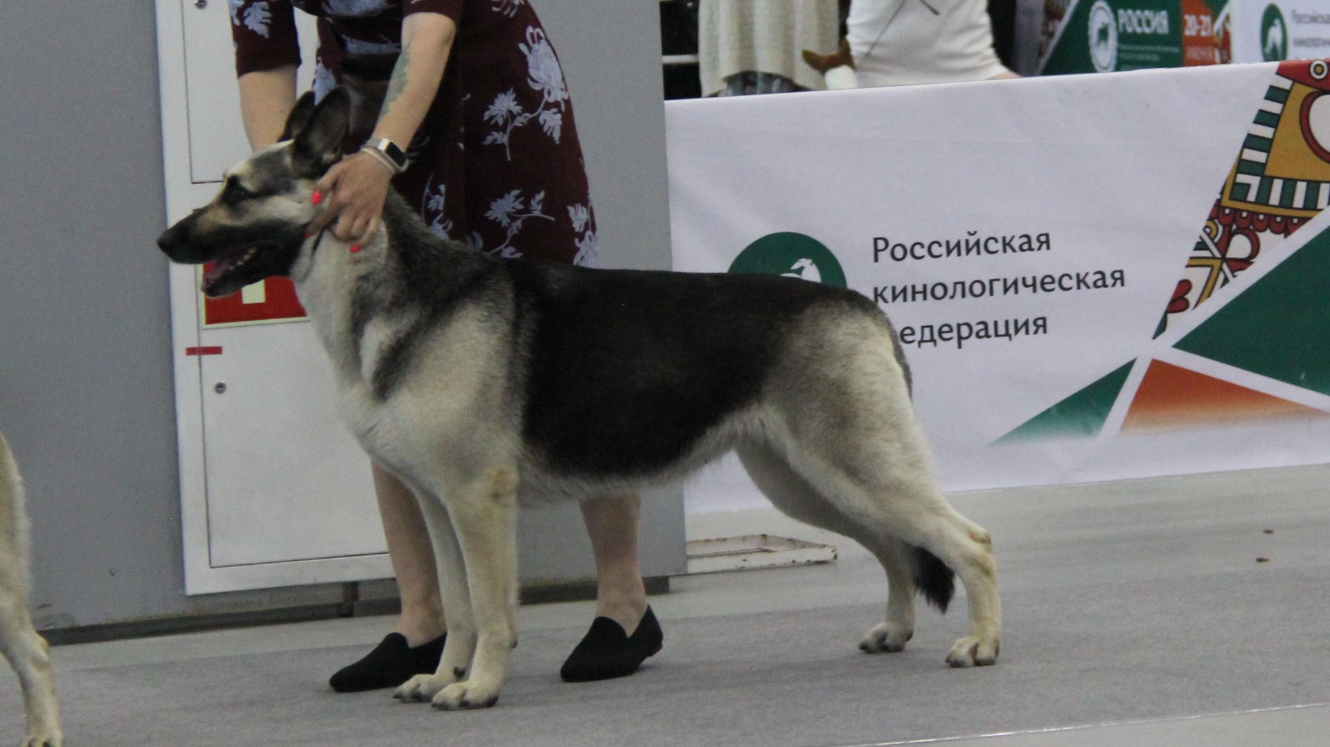 Моншер Вирсаль Югория