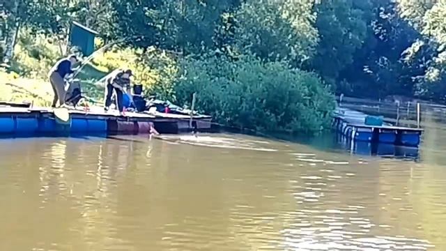 26.06.26 г. РК Волна. смотреть онлайн