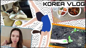 Про монтаж и новое увлечении Софии /KOREA VLOG/