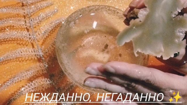 Нежданно,негаданно!