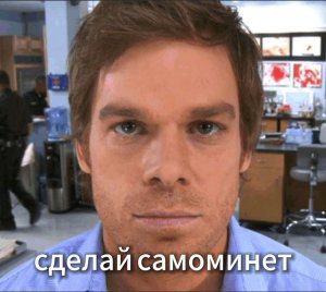 котики