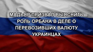 Мадьяр призвал выяснить роль Орбана в деле о перевозивших валюту украинцах