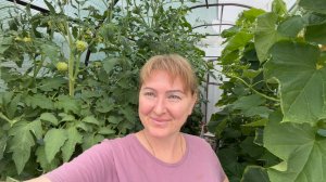 Что за напасть такая