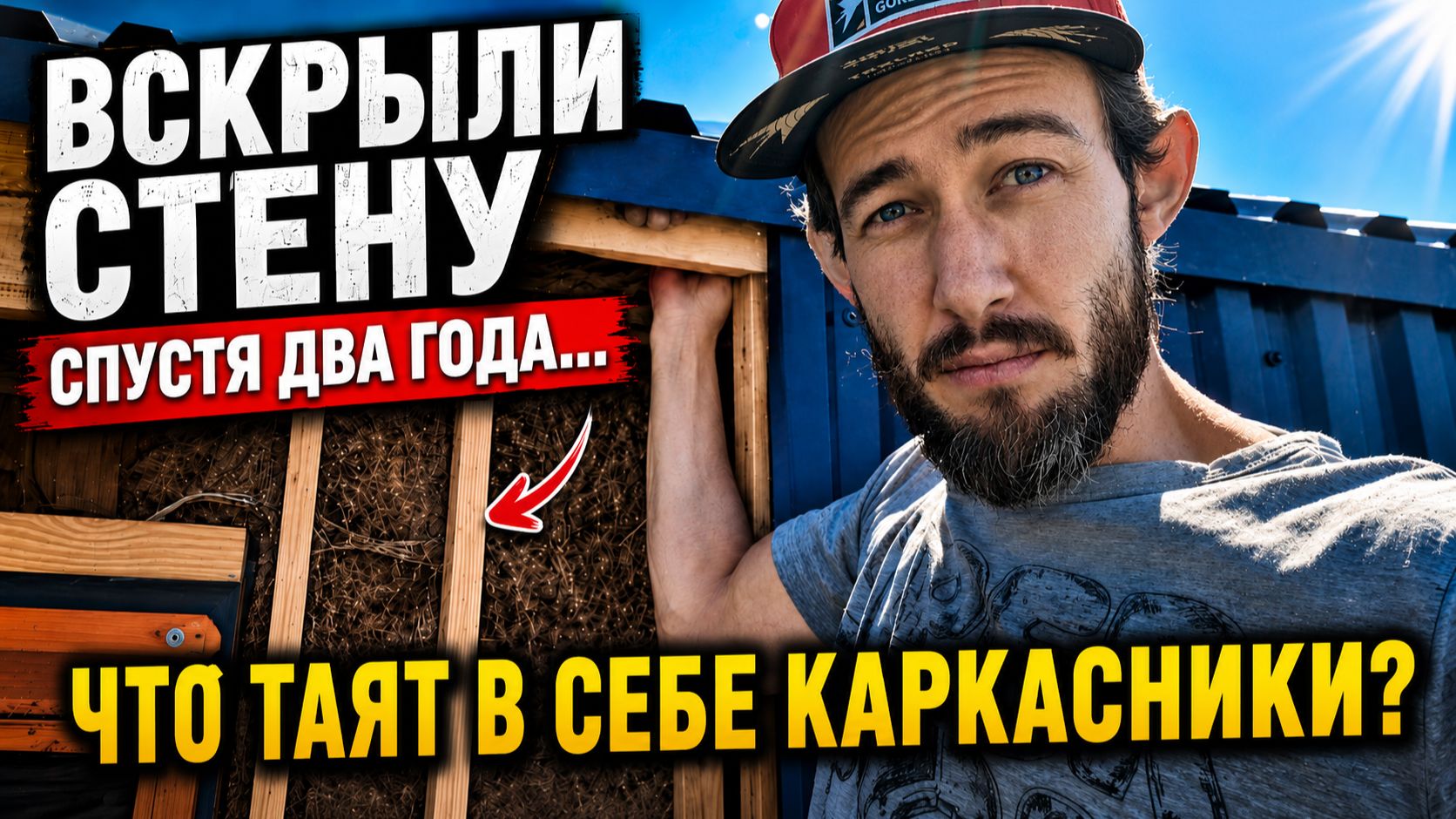 Вскрыли стену каркасника спустя 2 года: плесень, утеплитель и правда о мембранах