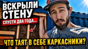 Вскрыли стену каркасника спустя 2 года: плесень, утеплитель и правда о мембранах
