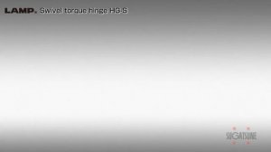 HGS Поворотные петли Япония