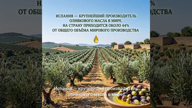 Интересный факт!