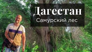 #Дагестан #Самурский лес - страшный лес. Кавказский узел. Дагестан сегодня.