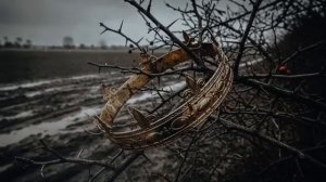 Война Роз_ Битва Династий за Трон Англии  Лекция Для Сна 😴 _