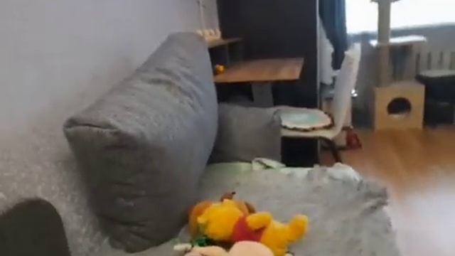 винни пух и все все все в реальной жизни 5 серия 1 сезон змей на дереве смотреть онлайн