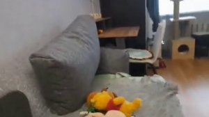 винни пух и все все все в реальной жизни 5 серия 1 сезон змей на дереве