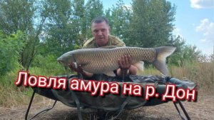 Охота на Амура 2024г. р. Дон
