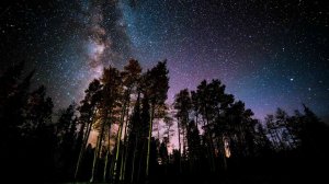 Suno Al & Marcus Denight -Тиши полночной летней теплота...🌌🌌🌌🌌🌌