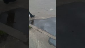 Обычная прогулка типа там блок