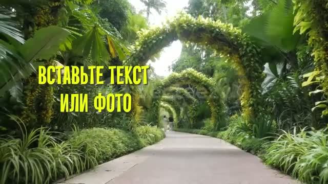 Парк для прогулок Скачать футажи для видеомонтажа free