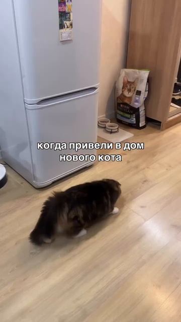 26-06-2026 смотреть онлайн