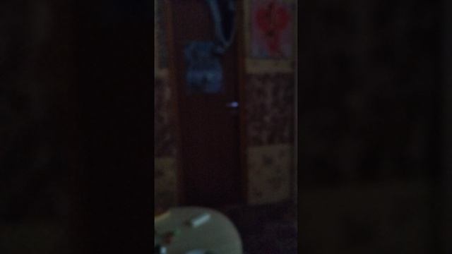 VID_20260626_115427.mp5 смотреть онлайн