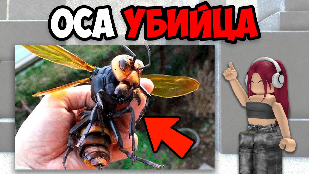 САМЫЕ ОПАСНЫЕ НАСЕКОМЫЕ В МИРЕ смотреть онлайн