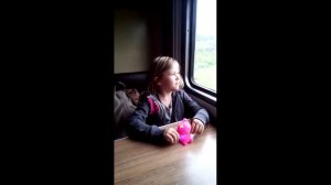 МАША В ПОЕЗДЕ. ЕДЕТ В КЕМЬ. ЗА ОКНОМ КАК ОБЫЧНО В КАРЕЛИИ ПАСМУРНО