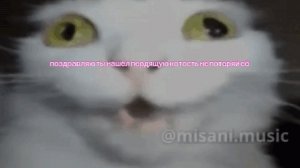 мем Про пердящую котость