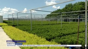 Информационный выпуск Майкопского телевидения 25.06.2026г.