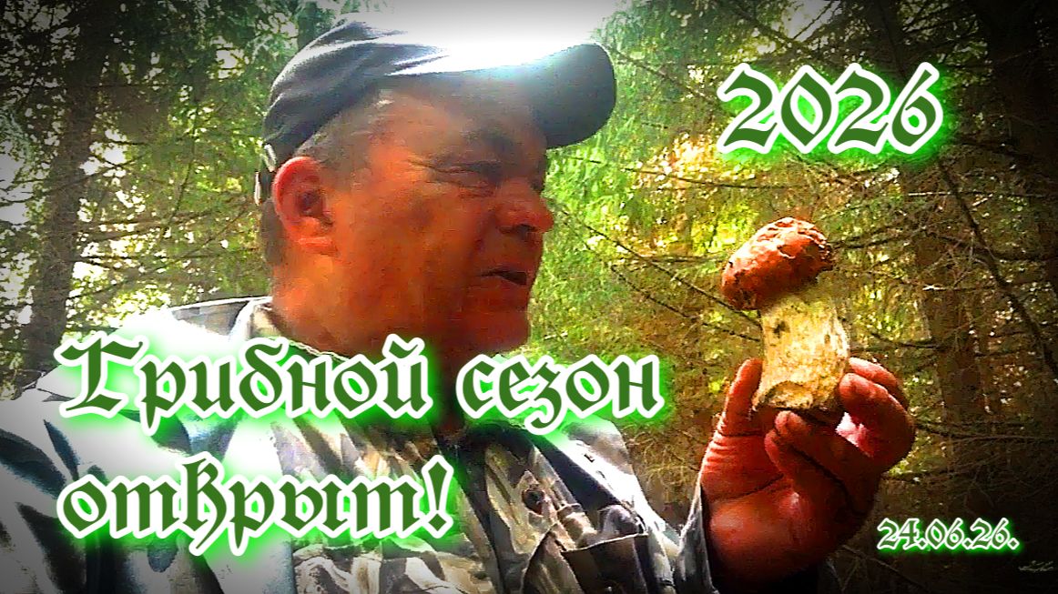 Грибной сезон 2026 открыт!