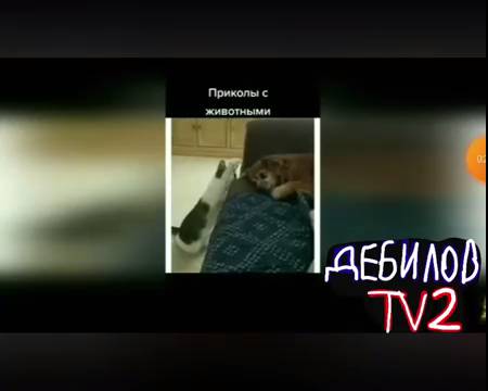 ДЕБИЛОВ ТВ 2 (9)