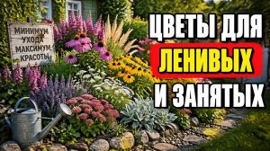 Перестаньте быть рабом дачи: 10 цветов которые выживут и без вашего участия