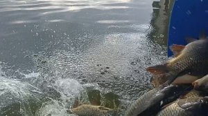 1000100274.mp4