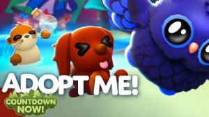 Эфир! Летний Пет в Adopt Me 26 г.через.../Обратный отсчёт Выпуск 1 No 92 [26.06.2026 г.]