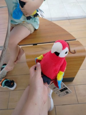Эхх. 🦚 трансляция закончилась (