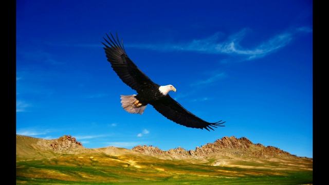 ABBA - Eagle. 1977 смотреть онлайн