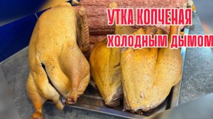 КОПЧЕНАЯ УТКА. Утка холодного копчения. Деликатесы из птицы.