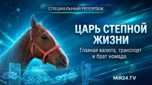 Конь – главное достояние кочевника | Специальный репортаж