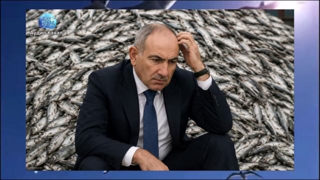 Россия полностью перекрыла импорт рыбной продукции из Армении
