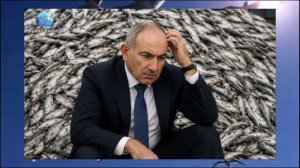 Россия полностью перекрыла импорт рыбной продукции из Армении